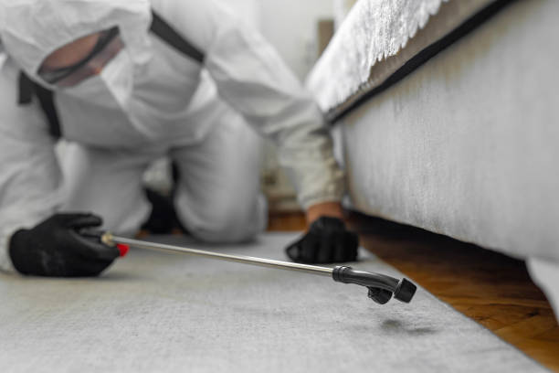 Professional Bed Bug Control technician working in Grand Prairie, TX