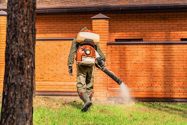 Trusted Rodent Control service in Grand Prairie, TX - Nex Pest Control